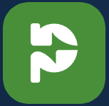 Plyrion Logo